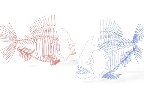 Piranha fish skeleton 3D Model