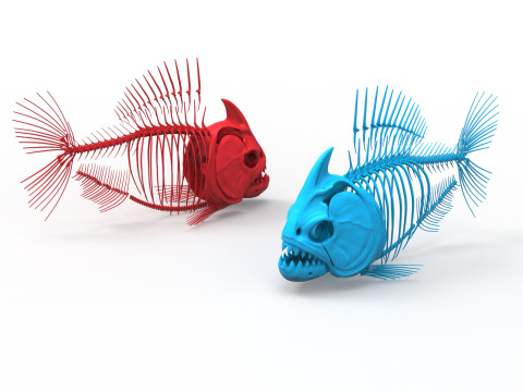 Piranha fish skeleton 3D-Modell