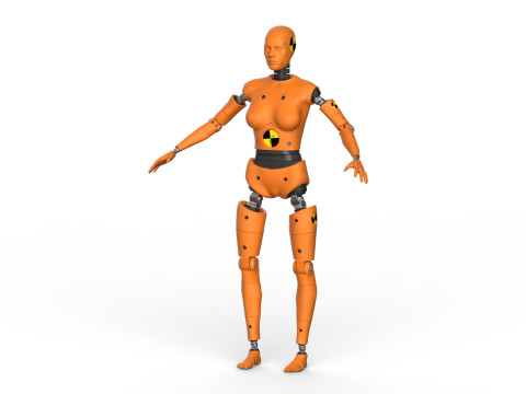 Dummy Robot Android Family man woman child Modelo 3D