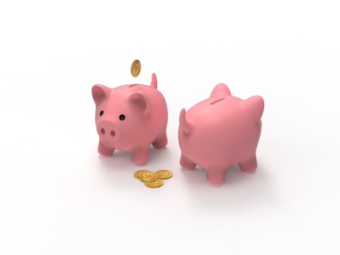 Piggy Bank Modello 3D