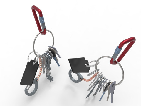 Set Of Keys with chain and carabiner 3D 模型