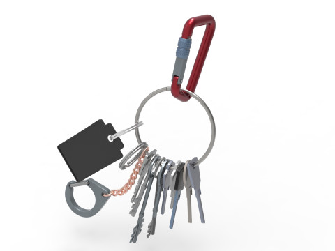 Set Of Keys with chain and carabiner 3D 模型