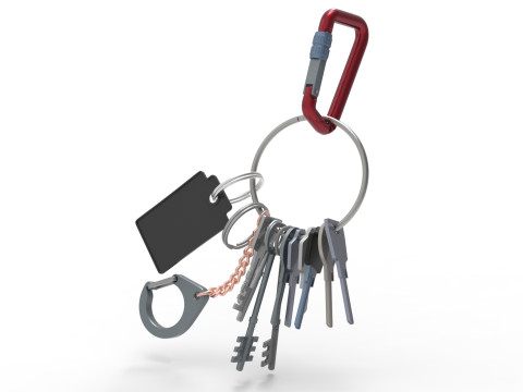 Set Of Keys with chain and carabiner 3D 模型