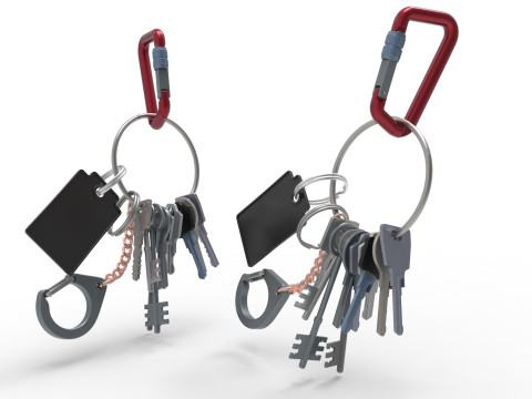 Set Of Keys with chain and carabiner 3D 模型