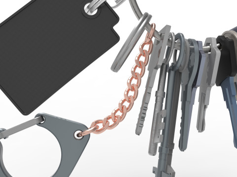 Set Of Keys with chain and carabiner 3D 模型