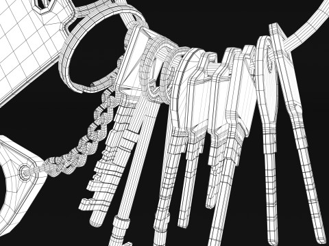 Set Of Keys with chain and carabiner 3D 模型