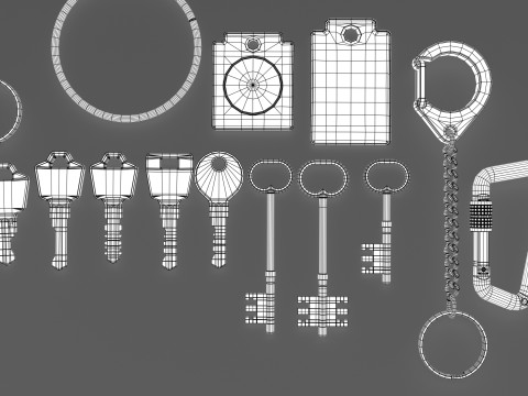 Set Of Keys with chain and carabiner 3D 模型