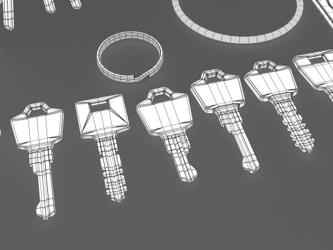 Set Of Keys with chain and carabiner 3D 模型