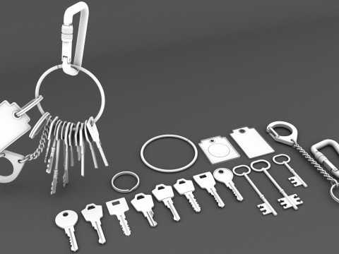 Set Of Keys with chain and carabiner 3D 模型
