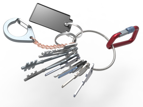 Set Of Keys with chain and carabiner 3D 模型