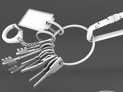 Set Of Keys with chain and carabiner 3D 模型