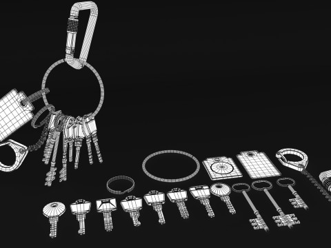 Set Of Keys with chain and carabiner 3D 模型