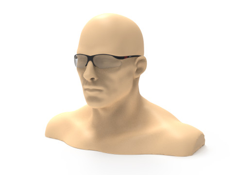 Safety Protective Sun Glasses 3D Model