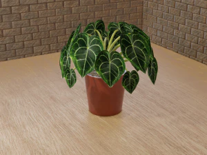 관엽 식물 3D 모델