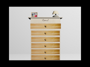 camod 3D Model