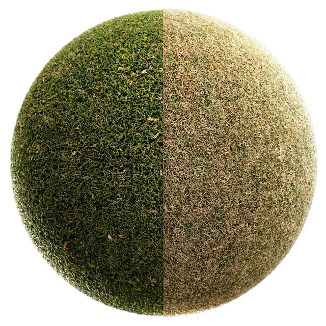 Scanned Grass Materials 2 Materials CG 纹理 .c4d .max .obj .3ds .fbx .stl .blend 
