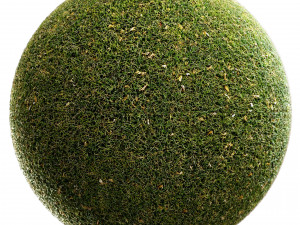 Scanned Grass Materials 2 Materials CG 纹理