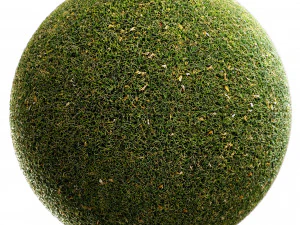 Scanned Grass Materials 2 Materials CG Textures