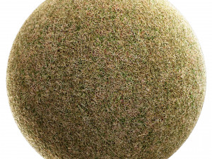 Scanned Grass Materials 2 Materials CG 纹理