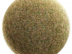 Scanned Grass Materials 2 Materials CG Textures