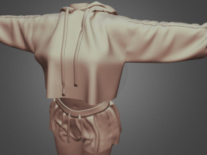 female clothes v1 3D 모델