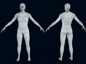 female basemesh 3D Model