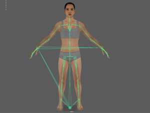 female basemesh 2 3D-Modell