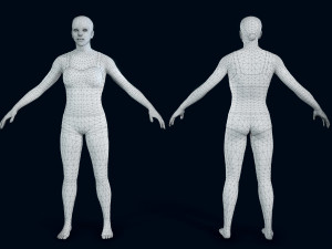 female basemesh 2 3D-Modell