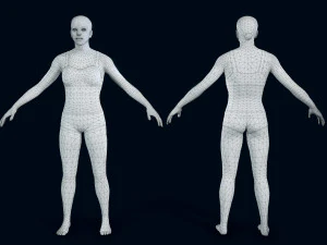 female basemesh 2 3D Model