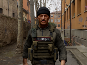 law enforcement 3D Model