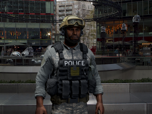 law enforcement 3D Model