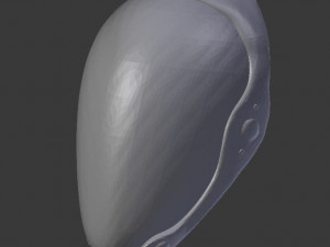 alchemist mask from vidocq 3D Print Model