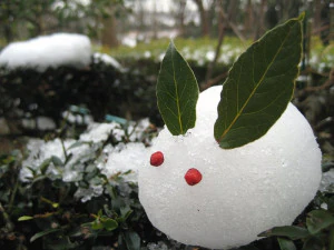 snow bunny 3D Print Model