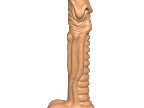 3D Print Ready Fantasy Penis Toy 01 3D Print Model