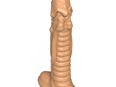 3D Print Ready Fantasy Penis Toy 01 3D Print Model