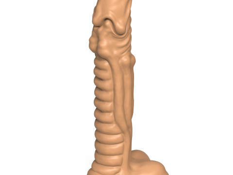 3D Print Ready Fantasy Penis Toy 01 Model do druku 3D