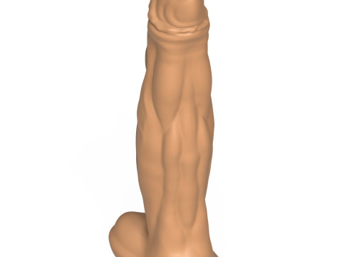 3D Print Ready Fantasy Penis Toy 08 Modelo de Impressão 3D