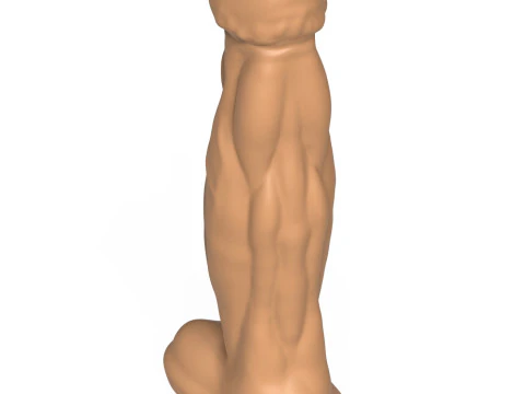 3D プリント対応ファンタジーペニスおもちゃ 09 3Dプリントモデル