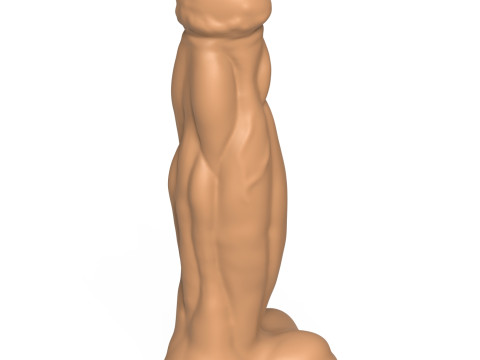 3D Print Ready Fantasy Penis Toy 09 3D 프린트 모델