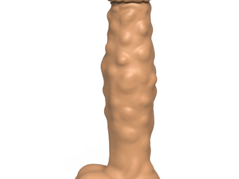 3D Print Ready Fantasy Penis Toy 14 3Dプリントモデル