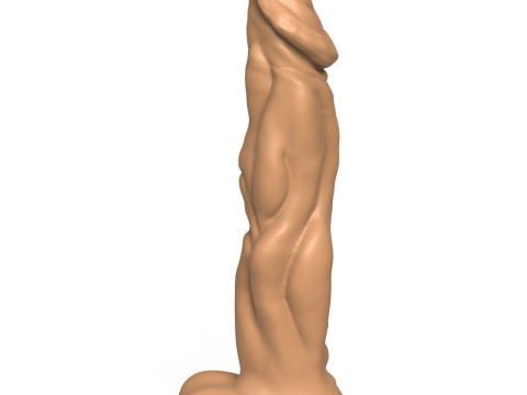3D Print Ready Fantasy Penis Toy 16 3D Druckmodell