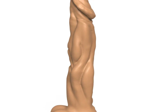 3D 인쇄 준비 판타지 페니스 장난감 16 3D 프린트 모델