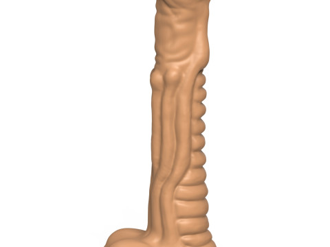 3D Print Ready Fantasy Penis Toy 22 Model do druku 3D