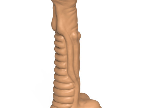 3D Print Ready Fantasy Penis Toy 22 Model do druku 3D
