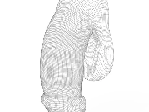 Young Man Penis 01 3D Model