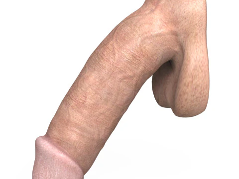 Young Man Penis 02 3D Model