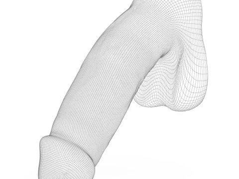 Young Man Penis 02 3D Model