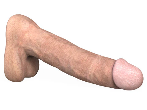 Пеніс молодого чоловіка 03 3D Модель