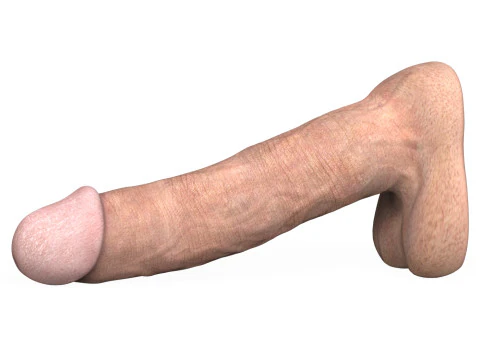 Пеніс молодого чоловіка 03 3D Модель