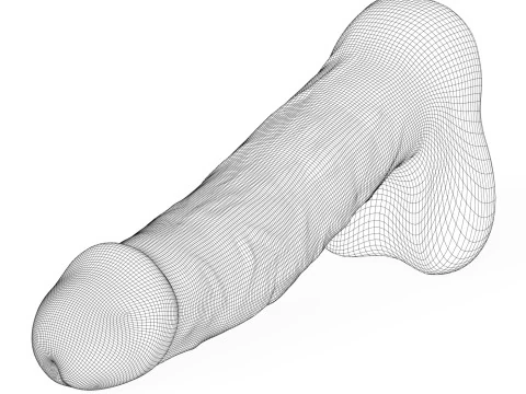 Пеніс молодого чоловіка 03 3D Модель